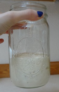 sourdough starter