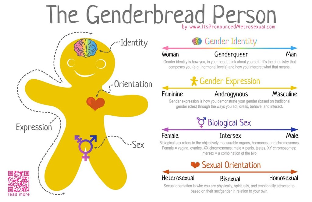 Genderbread Person shows you what different terms mean