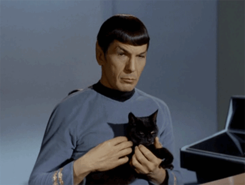 Spock pets a black cat and raises an eyebrow to indicate that you are talking rubbish