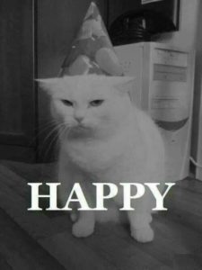 unhappy cat in a birthday hat. text on pic says HAPPY